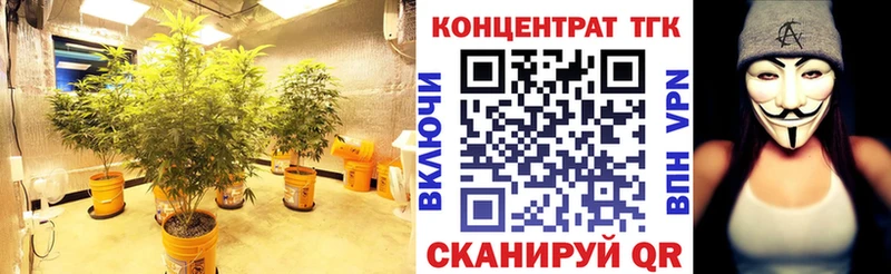 ТГК Wax  продажа наркотиков  Верещагино 