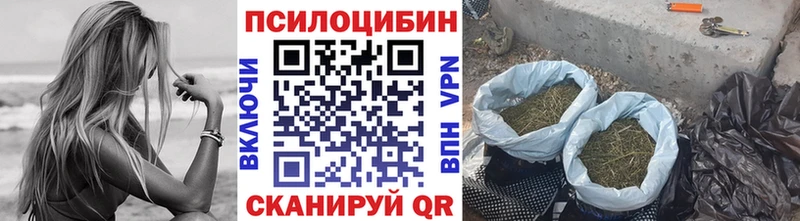 Псилоцибиновые грибы прущие грибы  кракен как зайти  Верещагино  как найти наркотики 